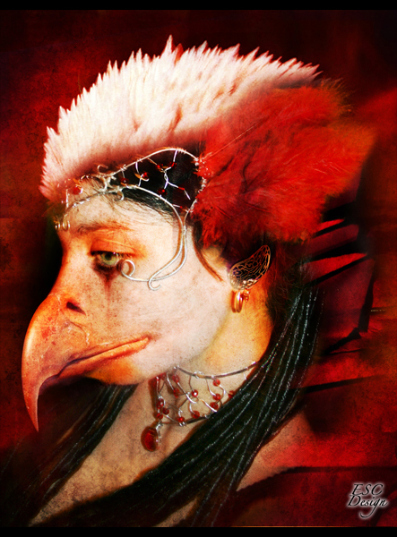 fotografia artistica esc design ave fenix